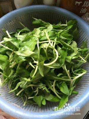 教你怎么做马兰三杯鸡