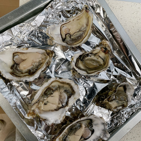 无盐蒜蓉烤生蚝