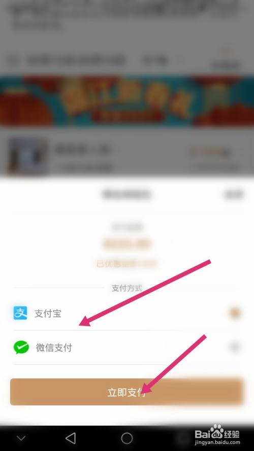 最后选择支付方式,并点击立即支付