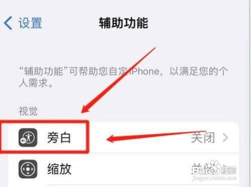 iPhone手机的八点式盲文在哪儿输出