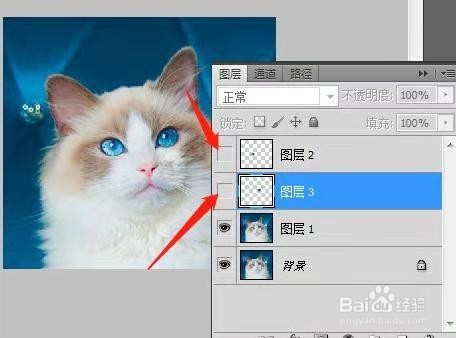 用PS制作动态猫咪表情包