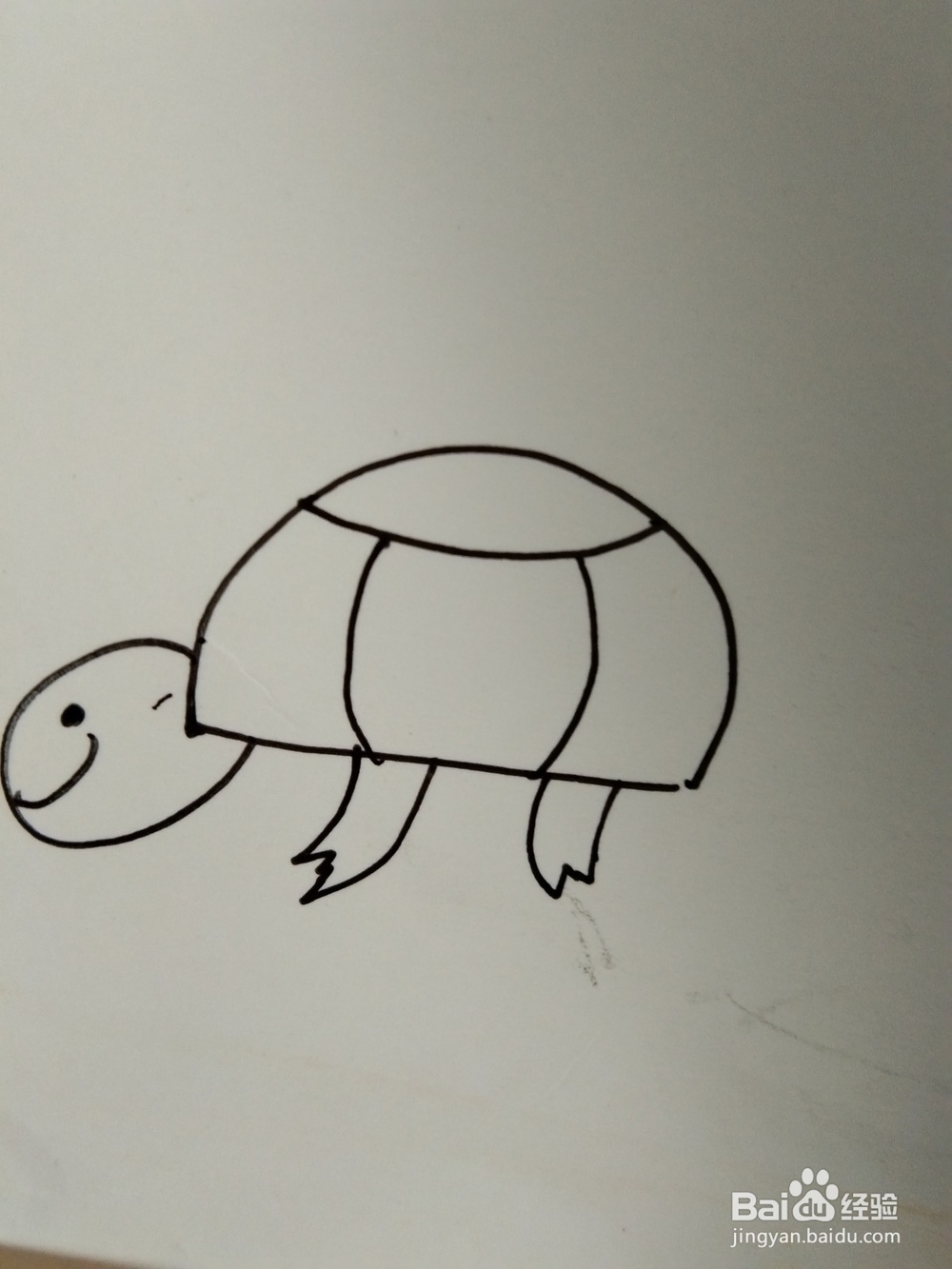 如何画简笔画乌龟？