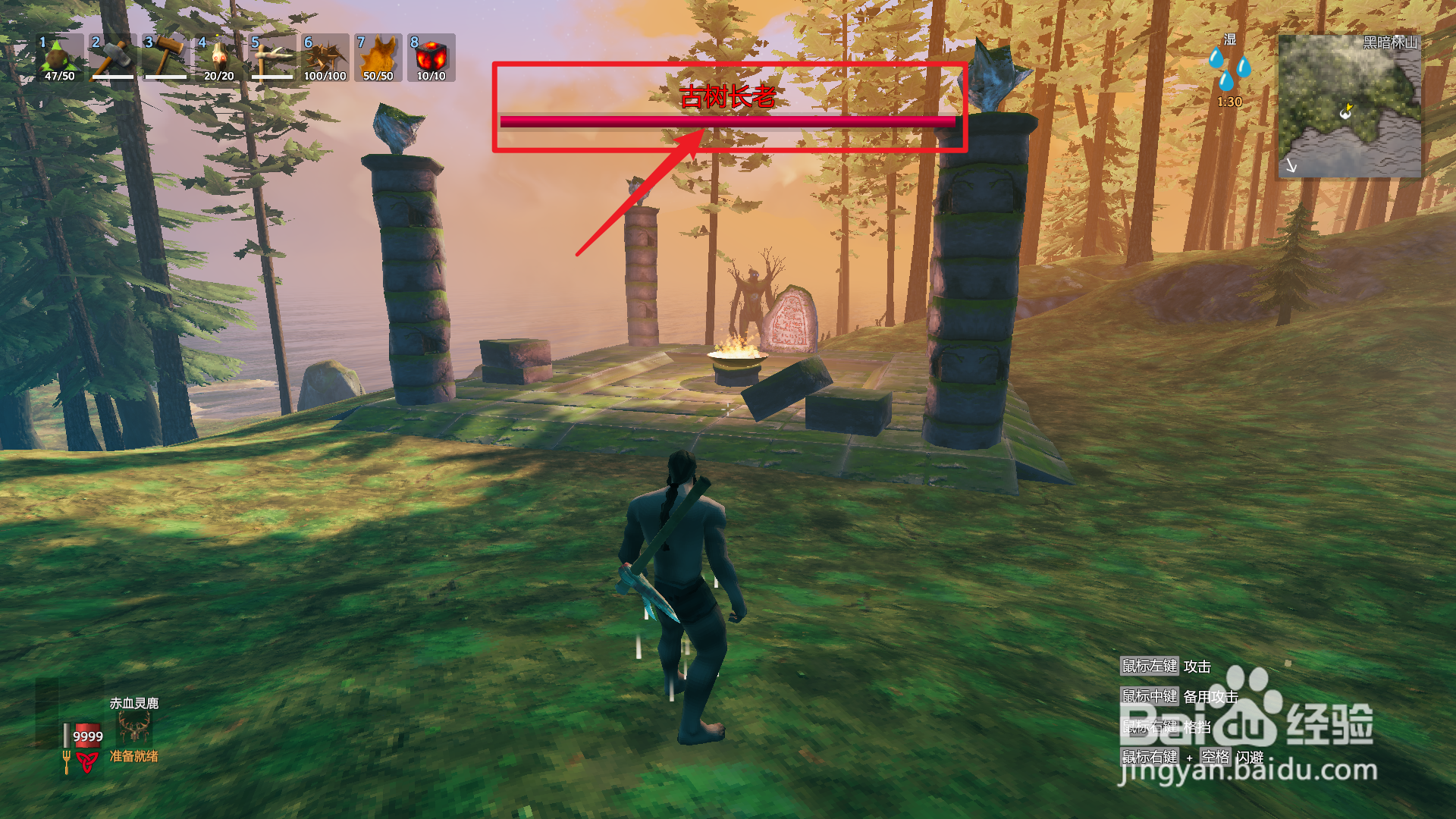 英灵神殿古树长老在哪里