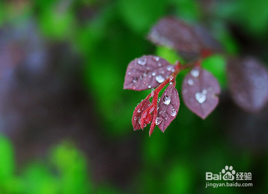 学习如何缓解压力
