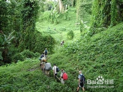我的生活经验之五：步行