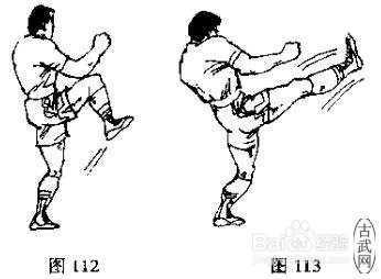 散打基本功之腿法教学1