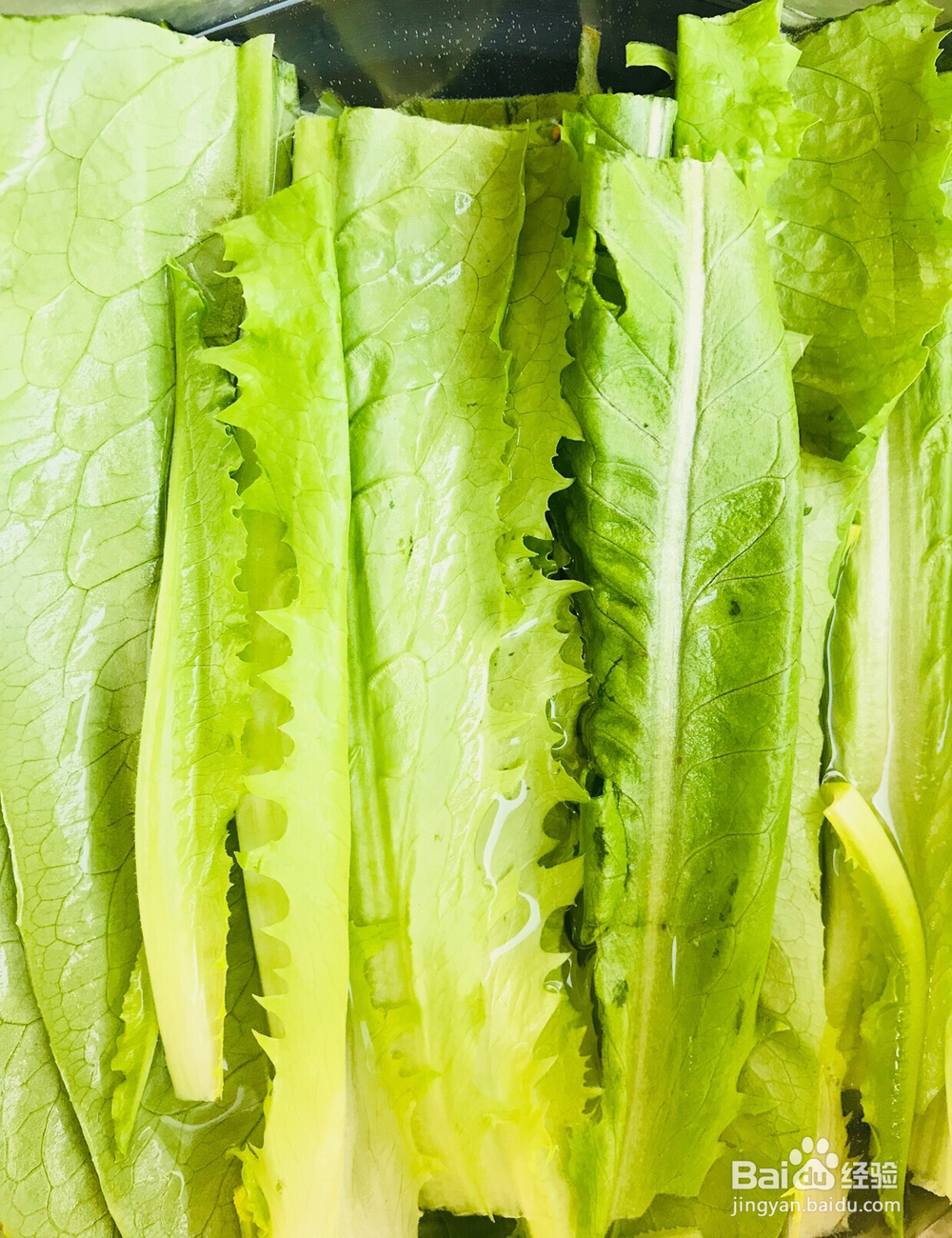 毫无压力做酸菜鱼面