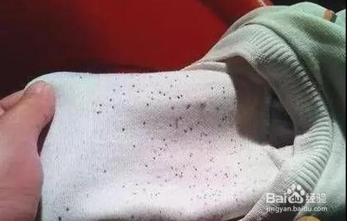 潮湿的春季衣服上有霉点怎么清洗和预防？