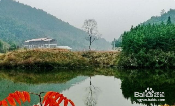 咸宁崇阳柃蜜小镇游玩攻略