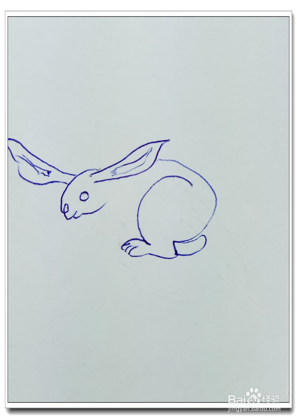 怎样画简笔画“可爱的小白兔”?