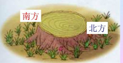 如何判断地理方向？