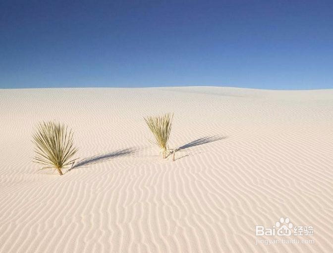 如何才能让自己更好地坚持下去？