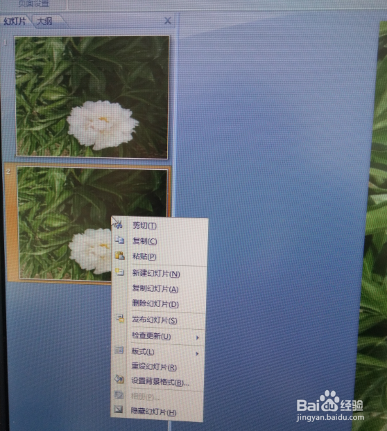 如何将电脑图片设置为PPT背景图？