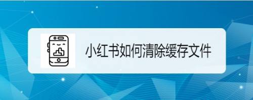 小红书如何清除缓存文件