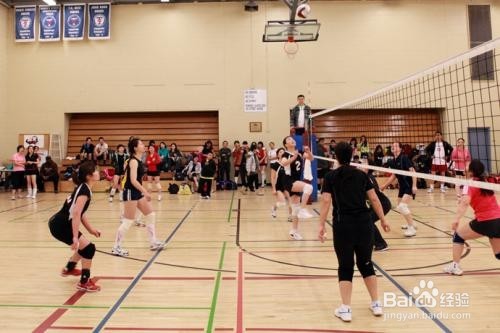 怎么度过大学四年