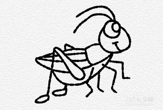 沙漠蝗虫简笔画