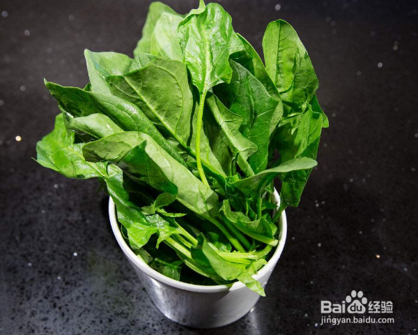 菠菜的菠菜的种植方法和时间
