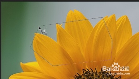 photoshop入门教程（23）