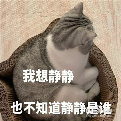 女生不回消息怎么高情商回复