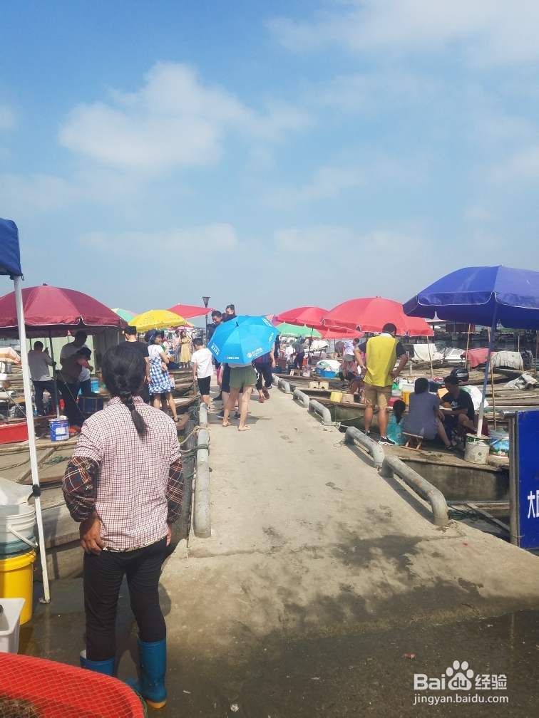 简单无压力做大闸蟹法