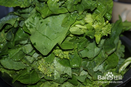 菜豆腐的做法（白菜苔）