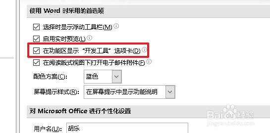 word开发工具选项卡在哪