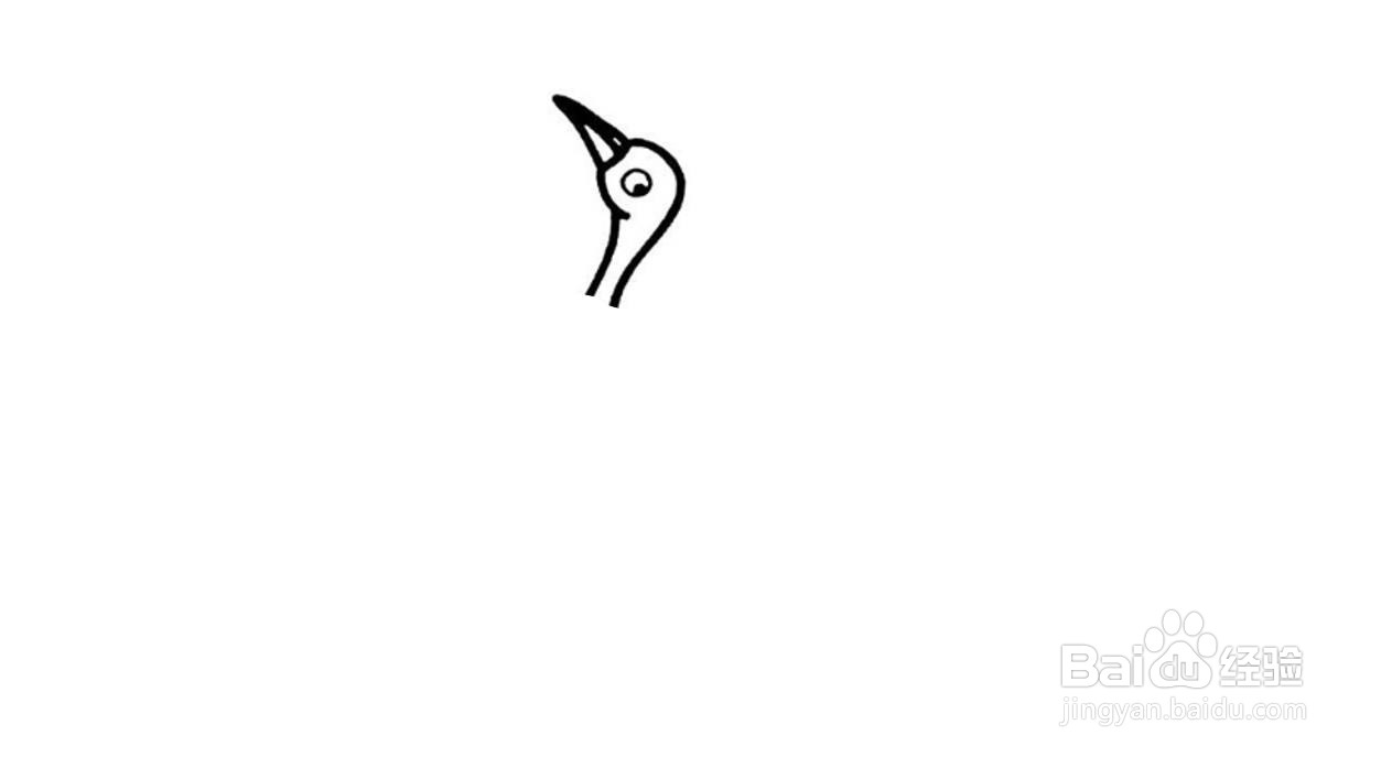 仙鹤简笔画画法分解
