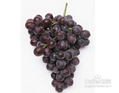 怎样居家自制葡萄酒