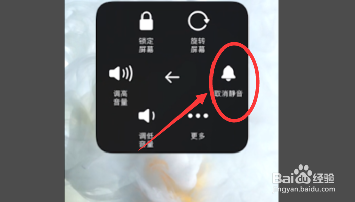 苹果12怎么关闭静音模式？