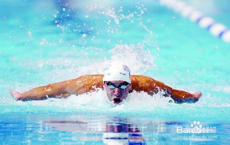 蝶泳时你不知道的几个秘密