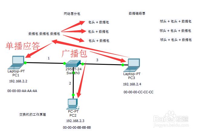 #交换机#-交换机的工作原理从这几点理解