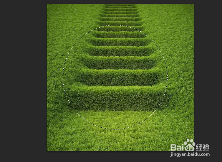 ps如何裁剪圆形图片