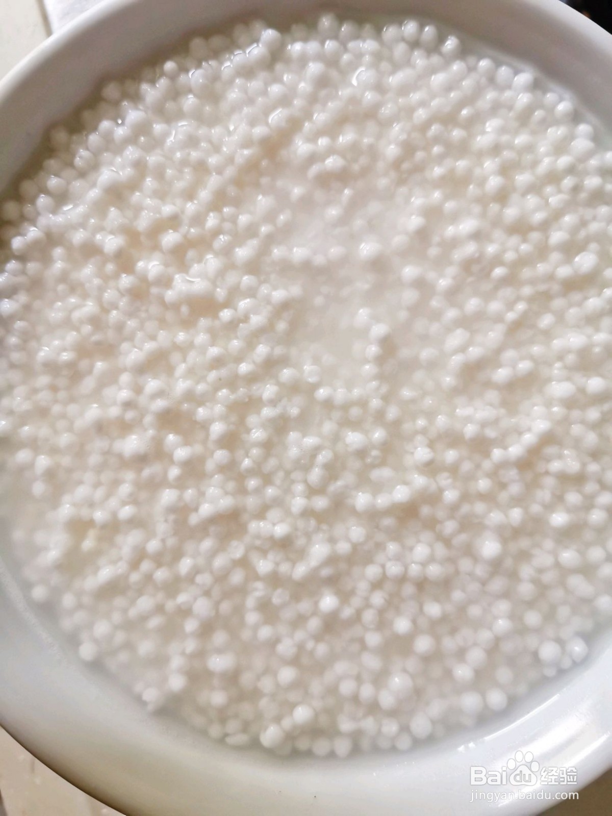 水晶西米粽怎么做