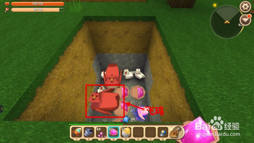 迷你世界飞鸡怎么驯服 迷你世界飞鸡吃什么