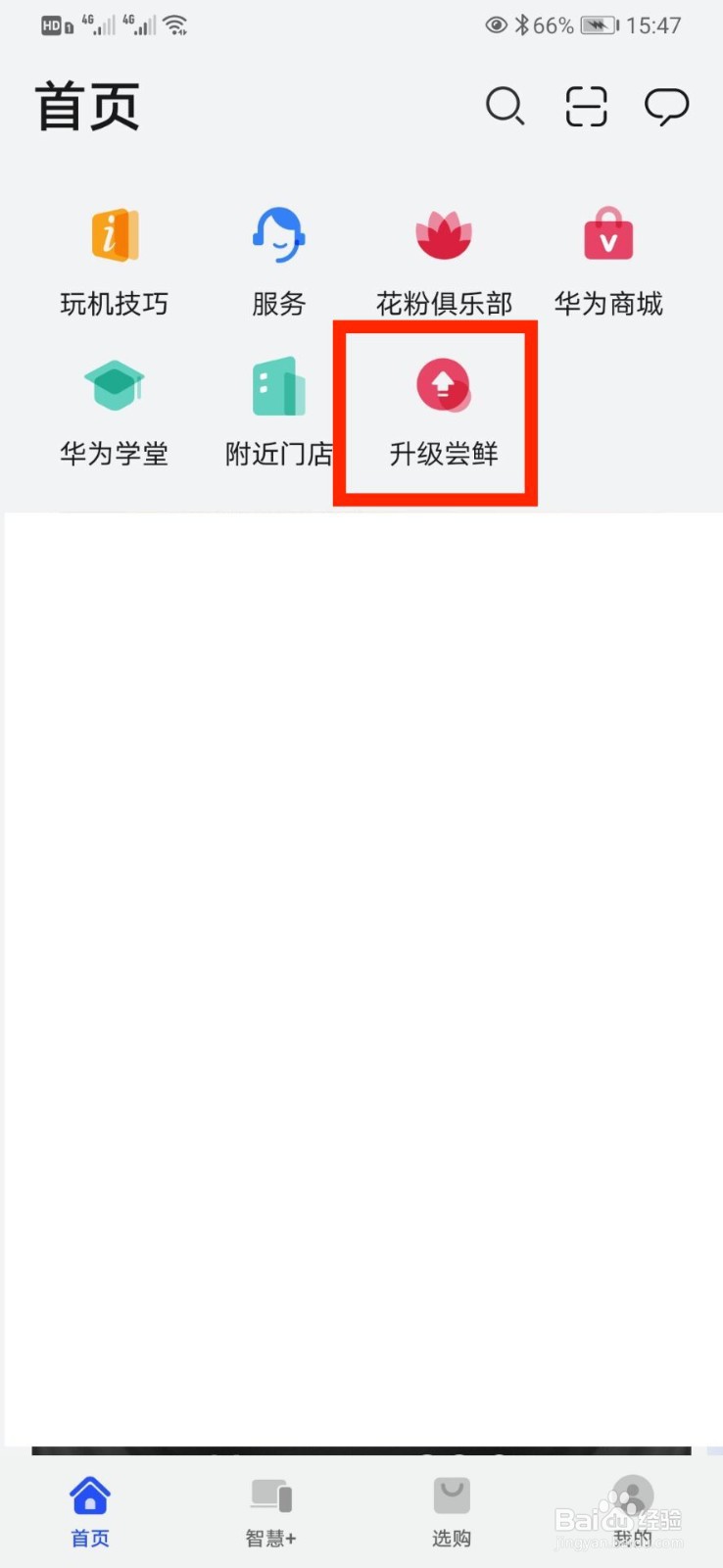 华为畅享20plus手机可以升级鸿蒙系统吗