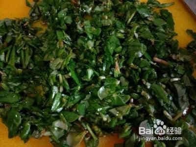 马齿苋粉条做包子