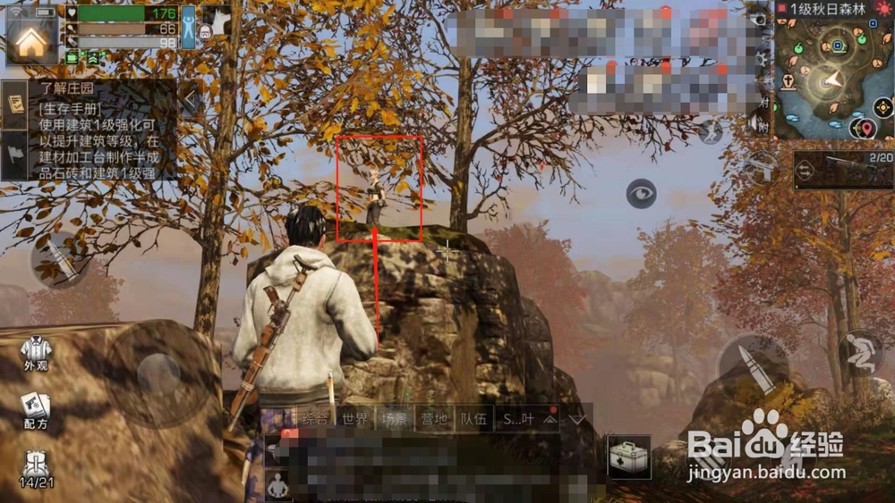 明日之后，如何完成给蘑菇拍照任务