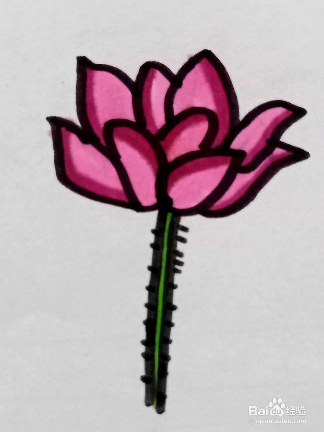 怎样画荷花