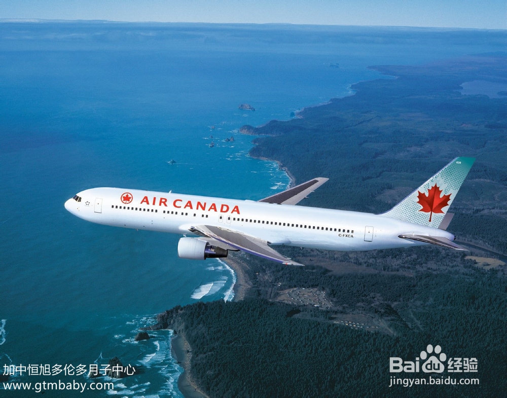 加拿大生子费用