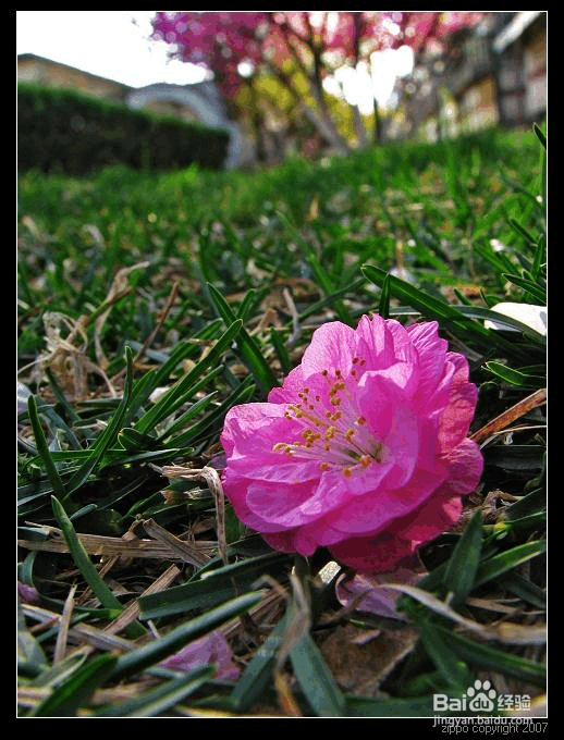 拍照时光圈与景深控制