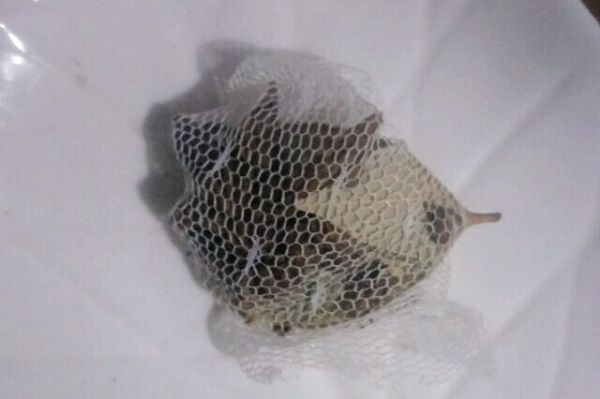 #2018年我学会的一道菜#水晶猪皮冻