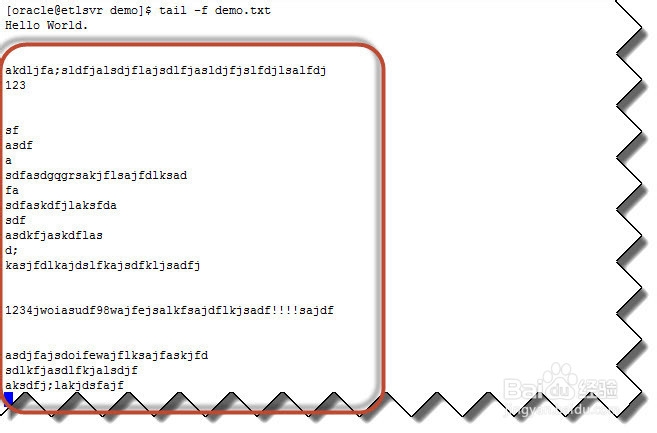 linux 如何在命令行动态显示文件内容