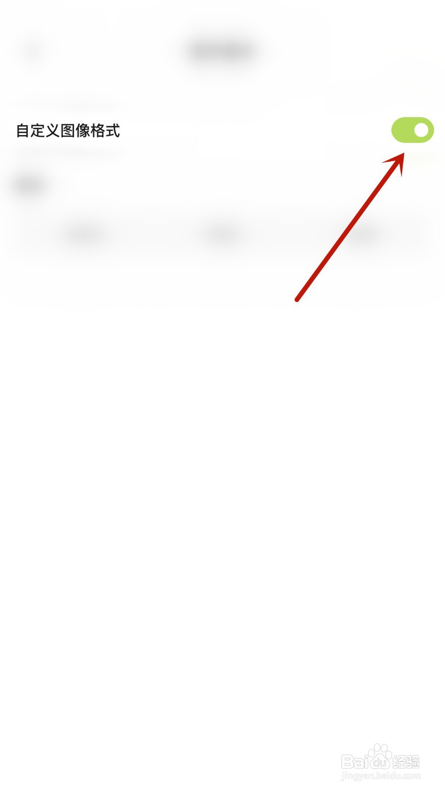醒图如何关闭自定义图像格式