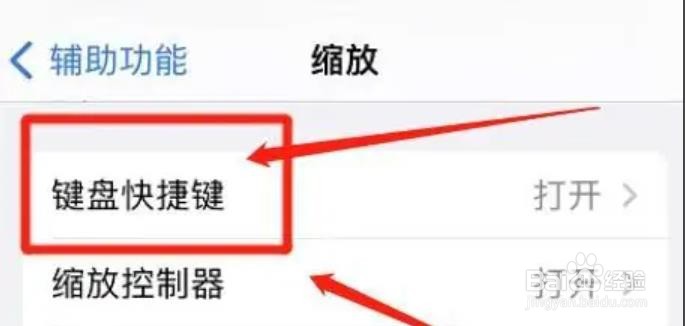 iphone如何激活切换缩放方式?