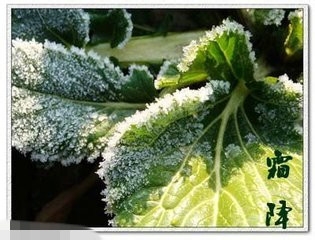 宝宝发烧怎么办？