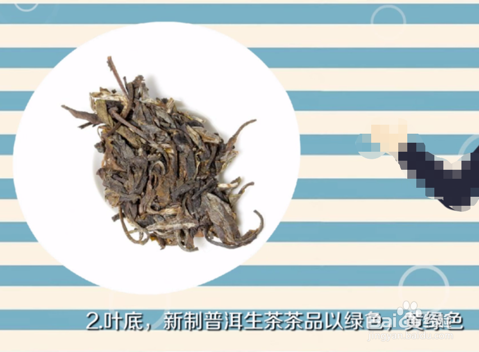 生普洱和熟普洱有什么区别