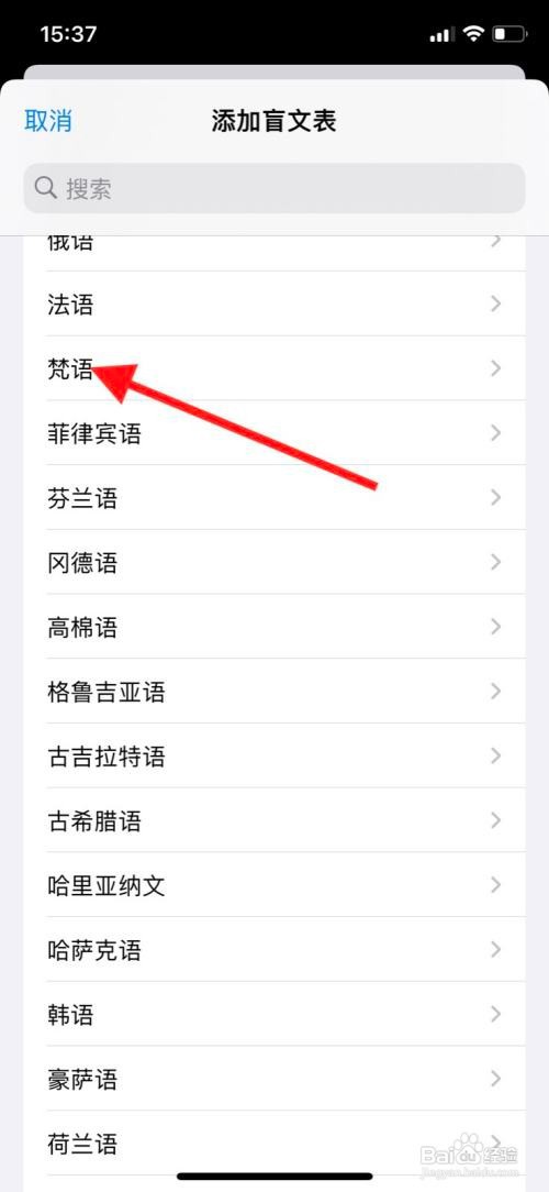 苹果手机增添旁白“梵语”盲文表
