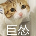 LOL新版狗熊--不灭狂雷