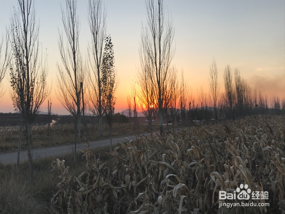 怎样拍摄初冬的田野