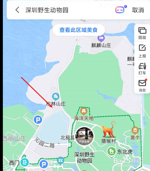 深圳野生动物园游玩路线图攻略